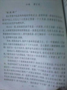 作文,六級,秋雨,校園