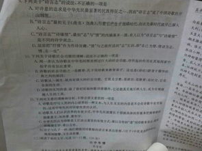 校園里的中國文化名人畫廊作文