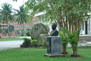 作文,花壇,校園