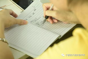 作文,圍繞,校園,主題