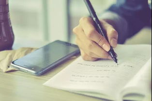 新的校園感受作文600字