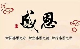 校園勵志標(biāo)語演講稿800字,校園勵志演講稿600字,校園勵志演講稿300字左右