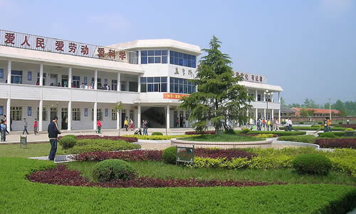 作文,字左右,花園,校園