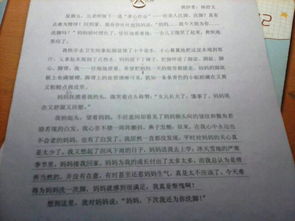 美麗的校園這篇作文360字