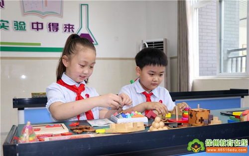 少華街小學(xué)我的校園作文