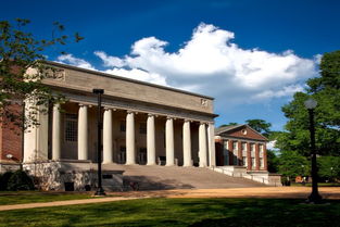 校園一角100作文