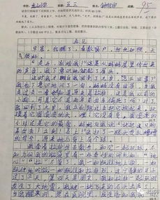 寫一篇龍山小學校園的作文300字