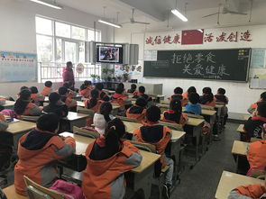 拒絕零食潔凈校園從我做起的作文