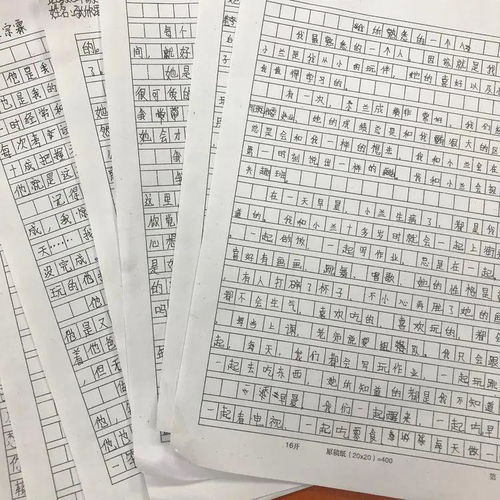 享受校園的樂(lè)趣作文