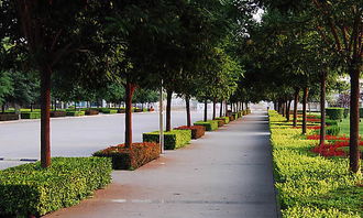 中學(xué)秋天校園花圃作文