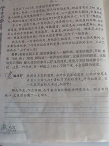 作文,在校,園里,五十個