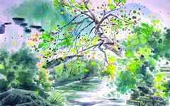 校園的春雨作文200字