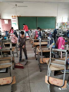 作文,愛護(hù),周圍環(huán)境,創(chuàng)建