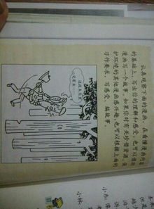 四季的校園作文六級600字作文