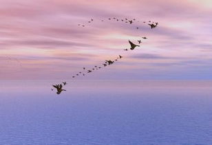 夢(mèng)想校園作文350字,夢(mèng)想校園作文是寫什么的,我夢(mèng)想中的校園作文