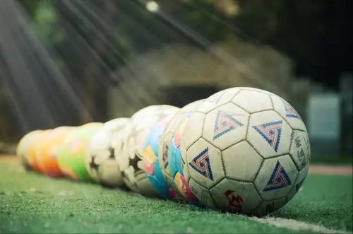 我和校園足球共成長作文500字