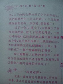 校園的雪景作文600字,校園雪景作文500字,校園雪景作文400字