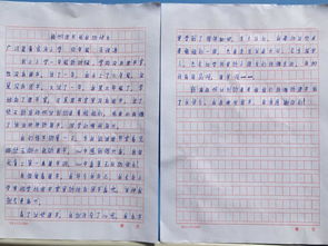 我的校園圖書館小學(xué)作文