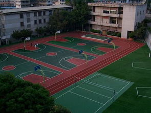 寫校園操場(chǎng)作文300字