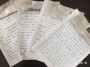 作文,愉快,校園,活動