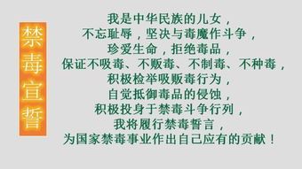 作文毒品校園暴力