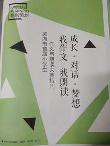 校園朗誦大賽作文