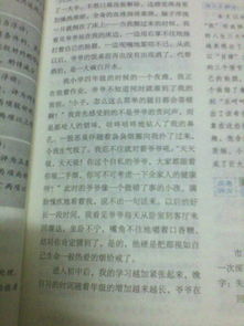 校園里的石榴作文500字左右