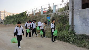 高中作文校園環(huán)境保護(hù)