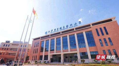 校園那份美麗400字作文