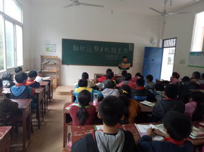 新生活新校園新鄉(xiāng)村作文