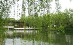 寫春天來到了校園作文200字