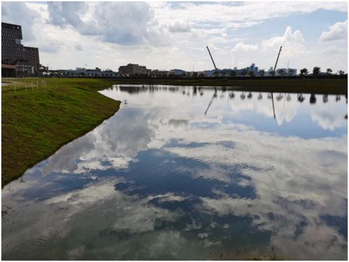 豐富多彩的校園生活作文600