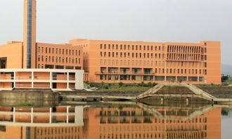 校園情作文片段