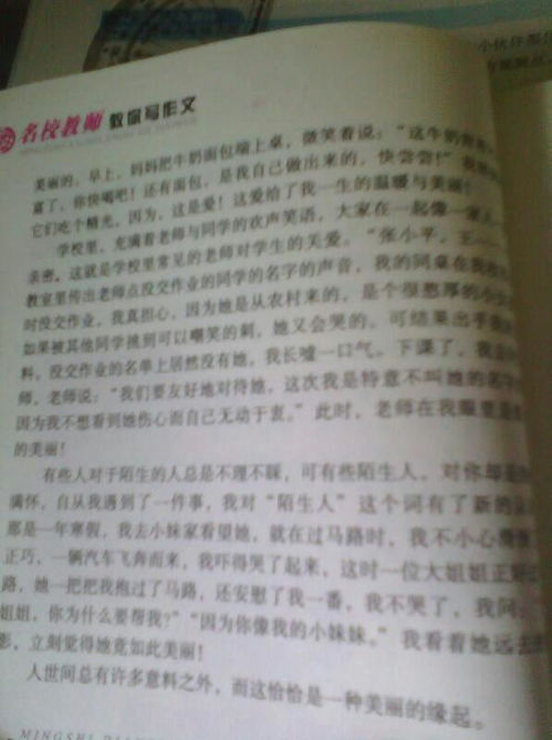 校園二三事作文300字記敘文