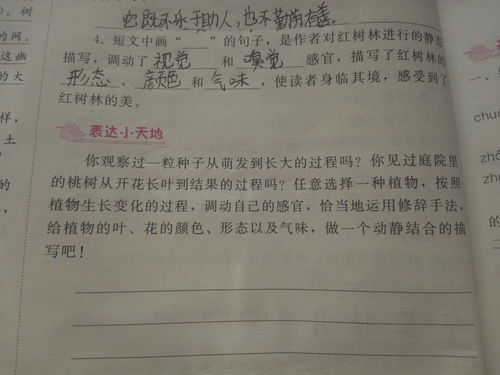 校園的動(dòng)靜結(jié)合作文100字