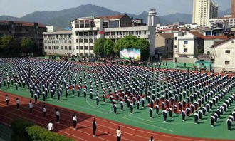 校園中的事作文800字