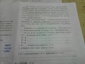 作文,大學(xué)校園,清晨