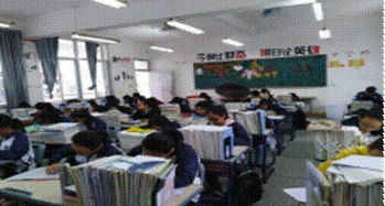 論手機進校園作文800字