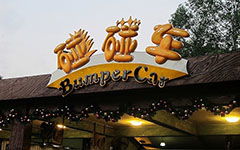 校園碰碰車作文400字