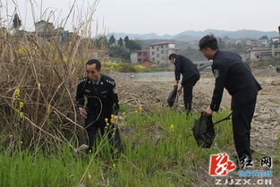 清理校園白色垃圾作文