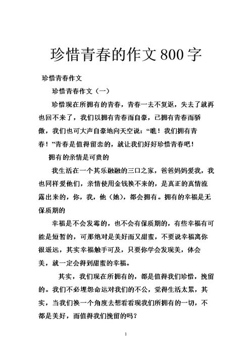 奮斗的青春校園作文1000字