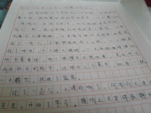 關(guān)于校園的作文三百字,校園安全我知道作文三百字,校園的清晨作文三百字