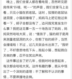 難忘的校園生活500字作文600字