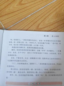 校園里感動(dòng)的一件事500字作文大全