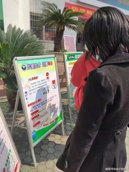 有關(guān)防校園欺凌禁毒的作文700字