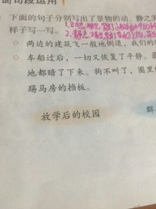 放學后的校園300字以上作文