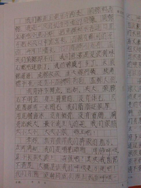 校園友情的作文1000字作文大全