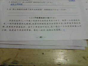 作文,清晨,走出,校園