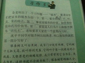 寫校園的香樟樹的作文400字,校園里的香樟樹作文300字,校園里的香樟樹作文三年級300字