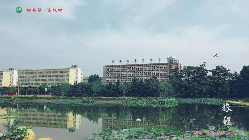 校園的美景400字四級作文400字